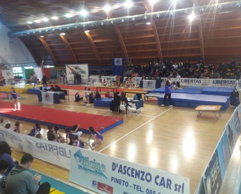 gare al palavolley